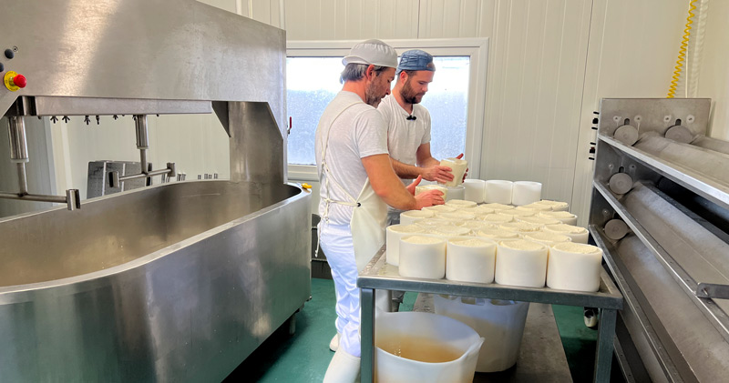 elaboración-queso-albi-hanna